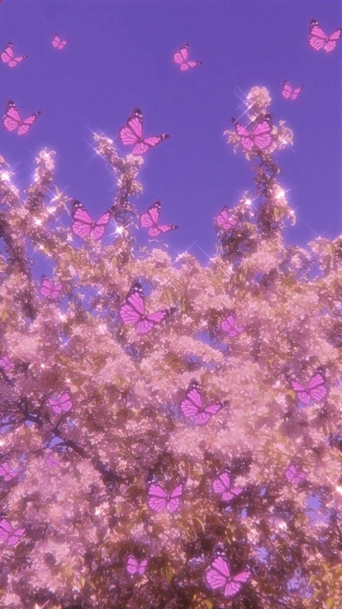 The butterfly effect